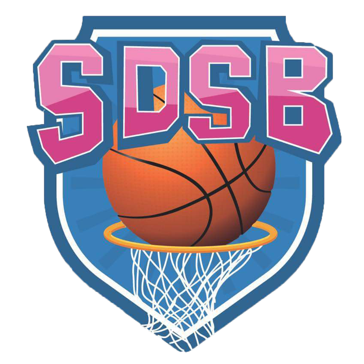 Saint Divy Sport Basket