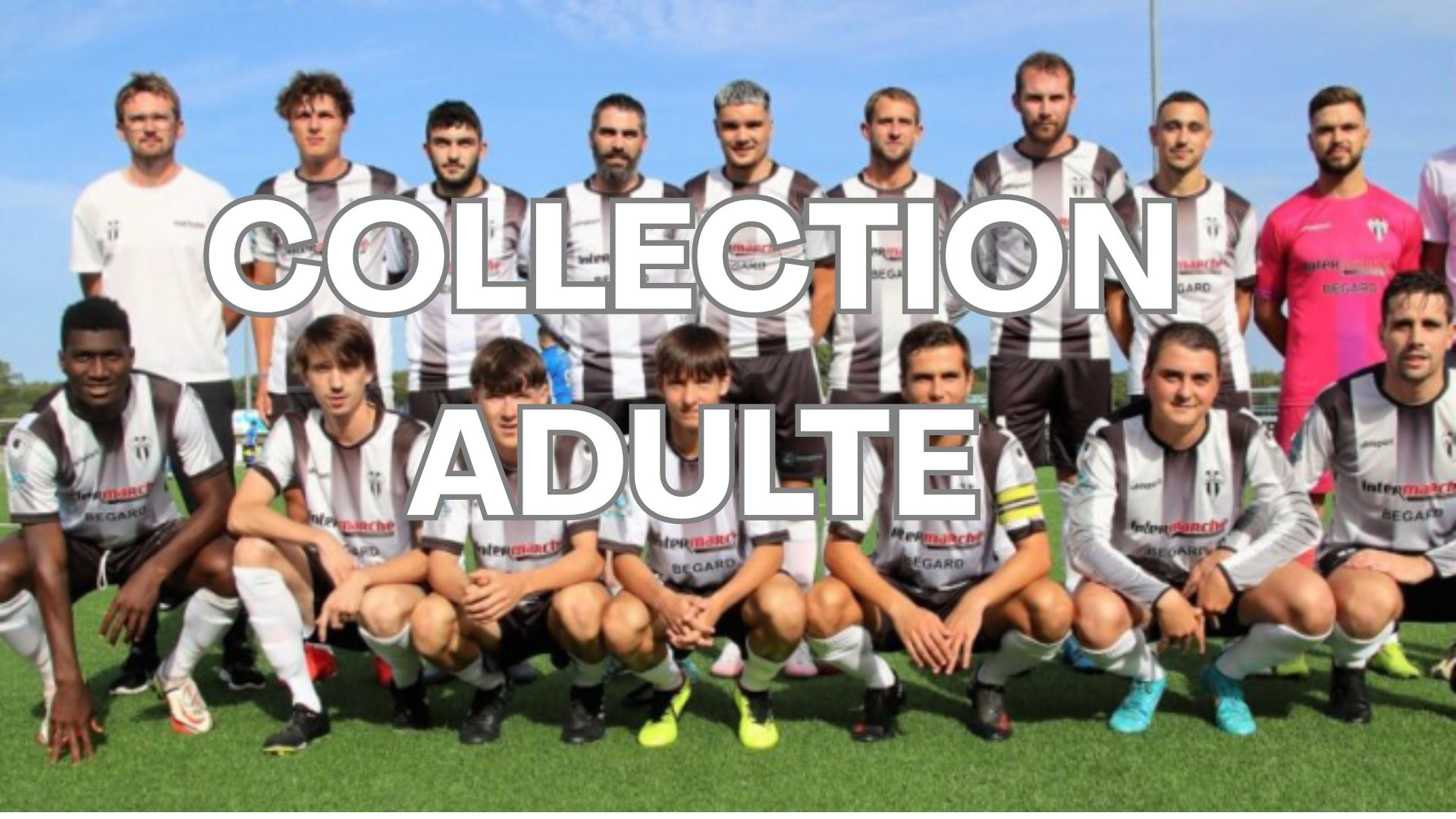 Collection Adulte